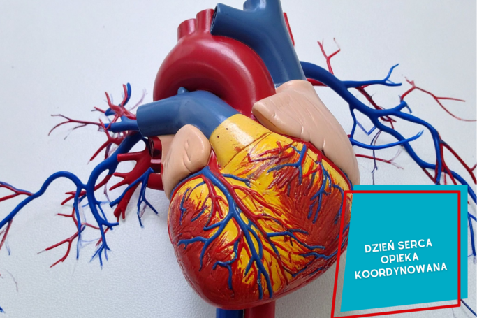 Światowy Dzień Serca – profilaktyka w ramach programu kardiologicznego